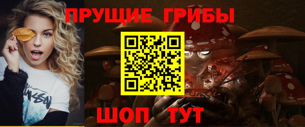 Галлюциногенные грибы Psilocybine cubensis Костомукша